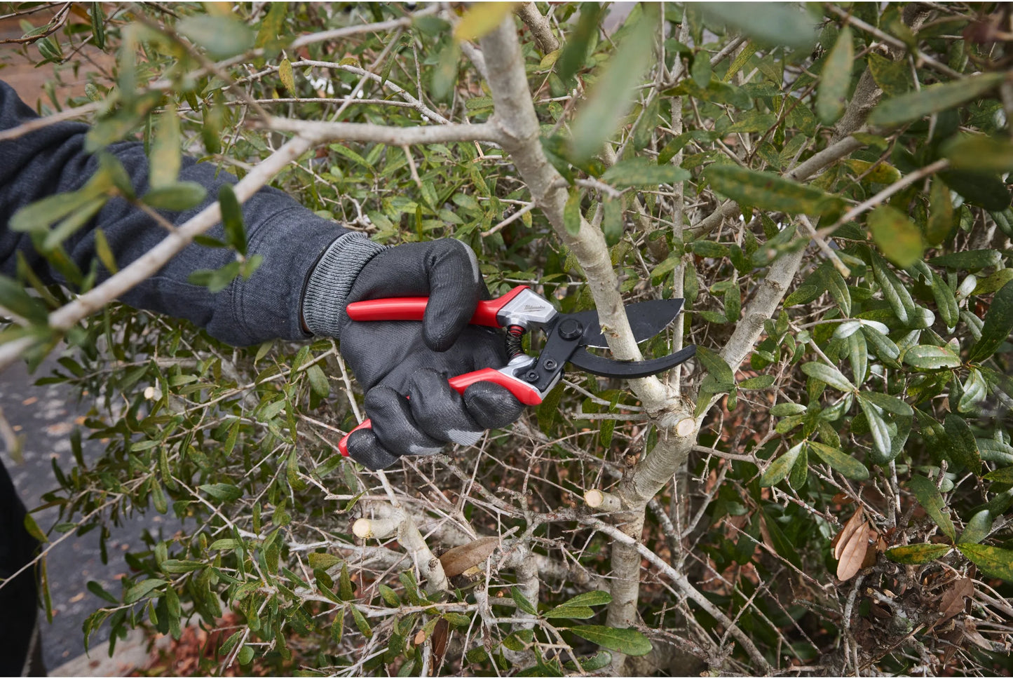 Tijera de poda de Bypass 25mm Milwaukee